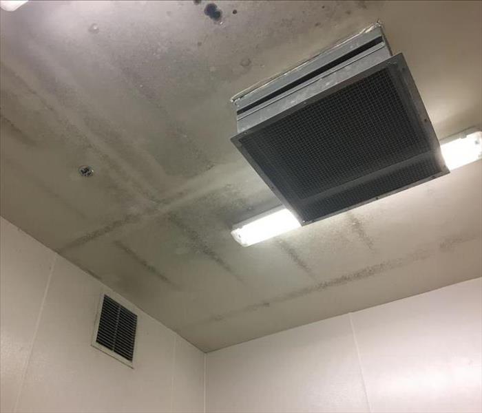Ceiling covered in mold