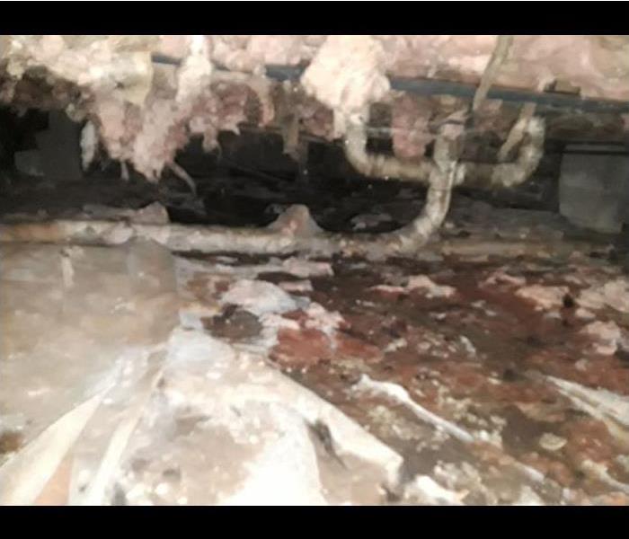 Crawlspace flooded with sewage water
